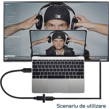 Cablu prelungitor USB-C tata la mama cu prindere pe panou, 30 cm, negru 2