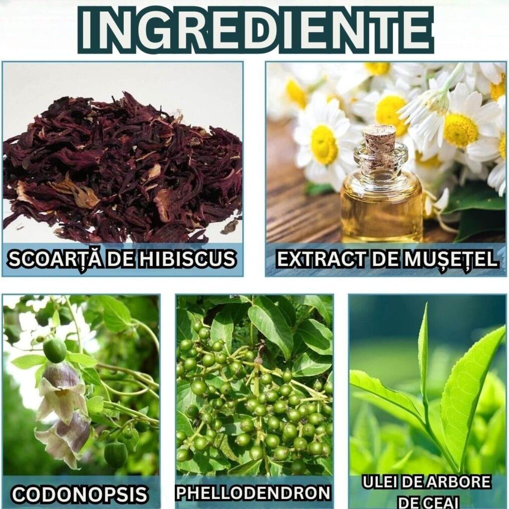 Ingredientele cremei pentru unghii