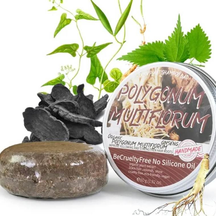 Sampon Solid pentru Restabilirea Culorii Naturale a Parului 2