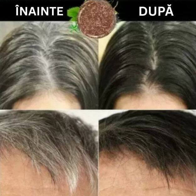 Sampon Solid pentru Restabilirea Culorii Naturale a Parului 3
