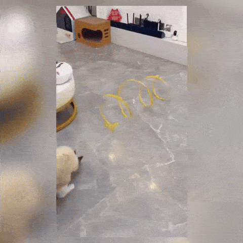 Super Tunelul Magic pentru Pisici