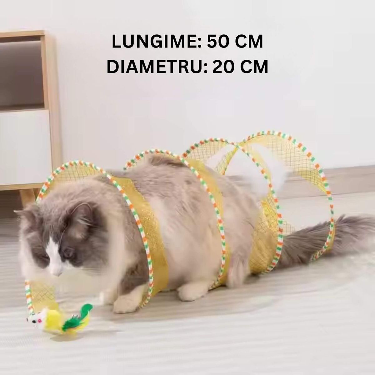 Super Tunelul Magic pentru Pisici 3