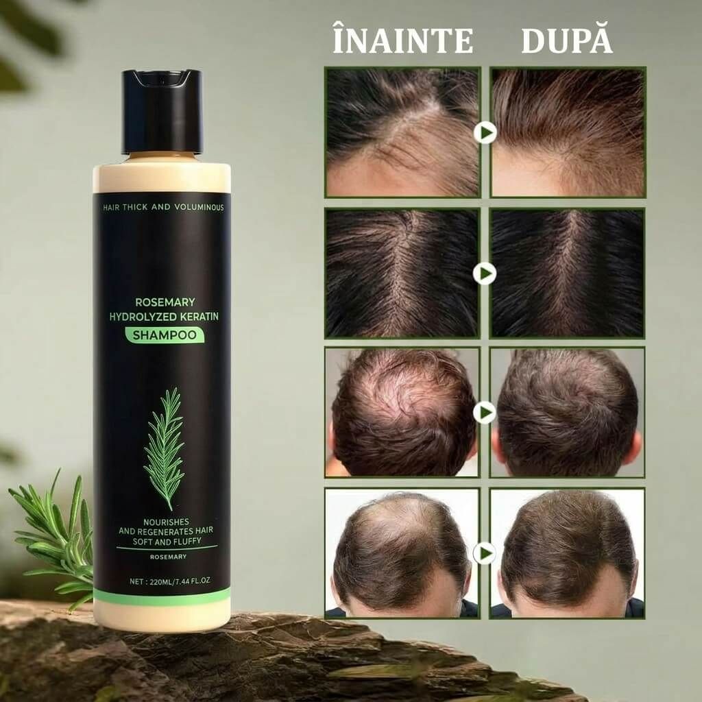 Transformare Vizibilă
