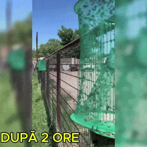 Capcana pentru Insecte