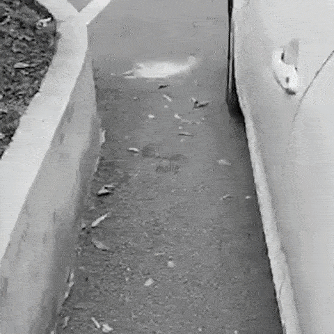 Protectii pentru Marginea Usilor Auto 1