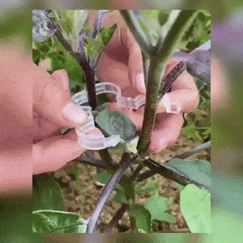 Set 100 Cleme de Sustinere din Plastic pentru Plante 1