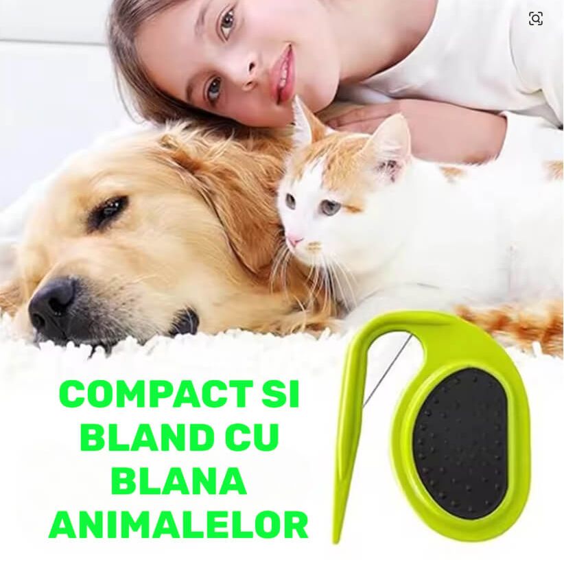DESIGN ERGONOMIC PENTRU CONFORT MAXIM