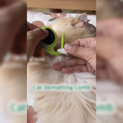 Set 3 Pieptene cu Lamă pentru Descurcat Blana Animalelor 1