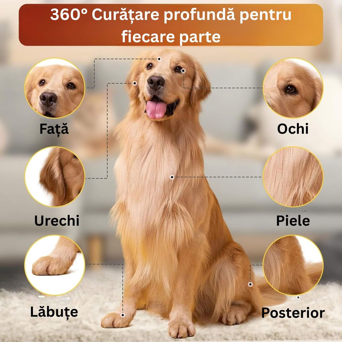 ACCES FACIL ÎN ZONE SENSIBILE