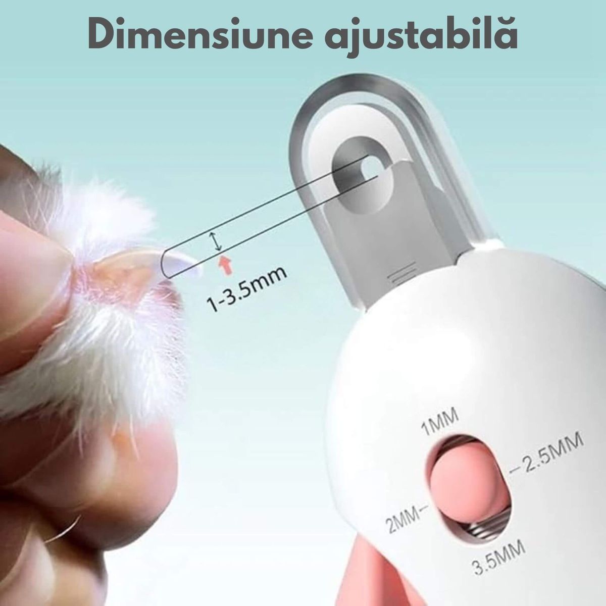 AJUSTARE PENTRU TOATE DIMENSIUNILE DE LĂBUȚE